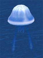Громовая медуза