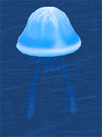 Проворная электрическая медуза